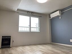 プラムクリークR 1LDKの写真