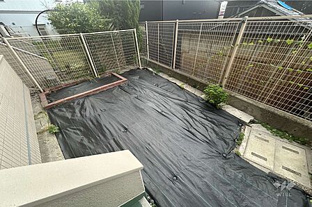 庭［2026年8月25日撮影］