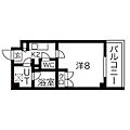 ステラヒルズ4階6.0万円