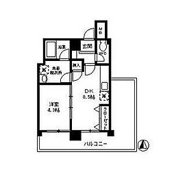 ミネルヴァ本郷 5階