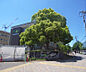周辺：京都先端科学大学（太秦）まで1564m