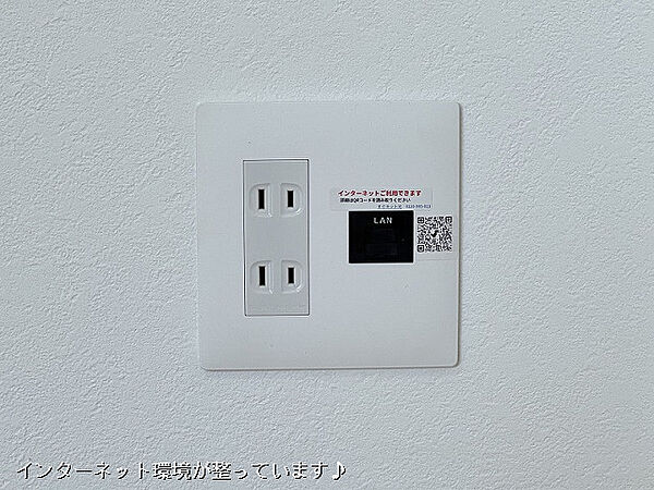 ティエラ