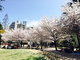 グリーンヒルズ  ｜ 大阪府大阪市西区本田2丁目（賃貸マンション1LDK・4階・41.20㎡） その28