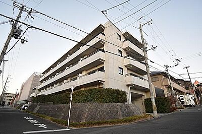 外観 外観