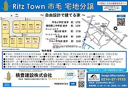 リッツタウン市毛