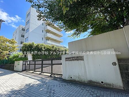 小学校 1000m 八千代市立新木戸小学校