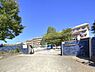 周辺：中学校 1238m 松戸市立牧野原中学校