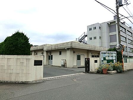 幼稚園・保育園 1600m 柏めぐみ園