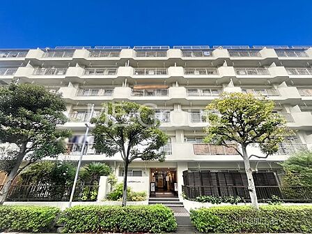 溢れる陽光でご家族の笑顔も輝く