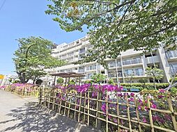 ライオンズマンション津田沼