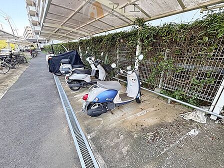 広々スペースの駐輪場はご家族の自転車を置くことができます