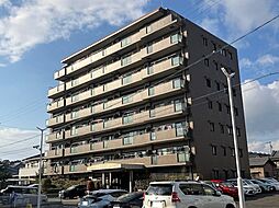 ウィステリア梅坪