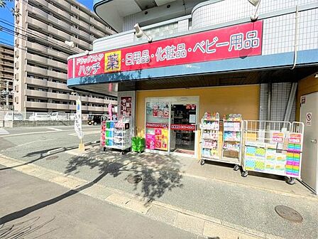 ドラッグストアハッチ　松島店 820m