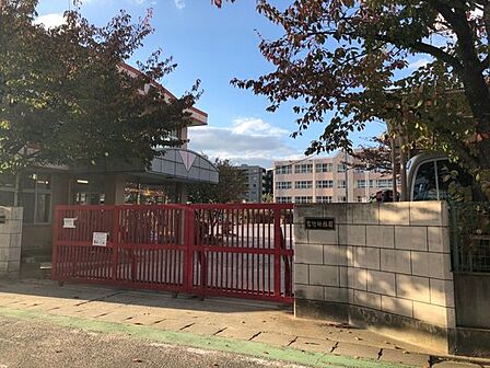 宮竹幼稚園 550m