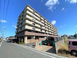 Vigoaisho大口