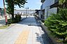 その他：敷地の西側前面道路（南側から）