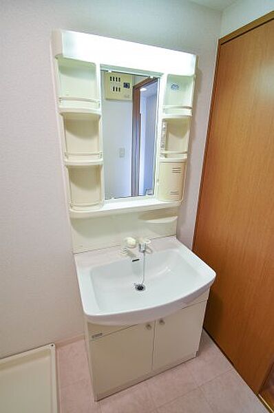 画像9:人気の独立洗面台はシャンプードレッサーです。