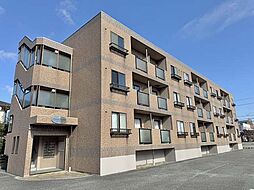 カリーナ・ミミ