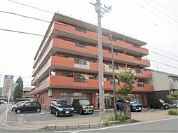 ジョイパレスチシロ