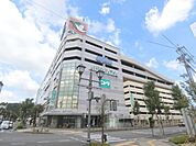 アルプラザ　八日市まで170メートル