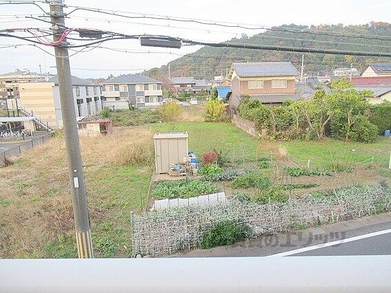 プールブゥ_その他_6