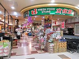 スーパー文化堂豊洲店（徒歩447m）