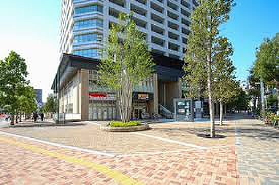 周辺 ザ・パークハウス西新宿タワー60 11階/-