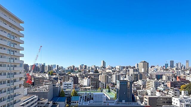 その他 GREEN PARK 文京西片 14階/-