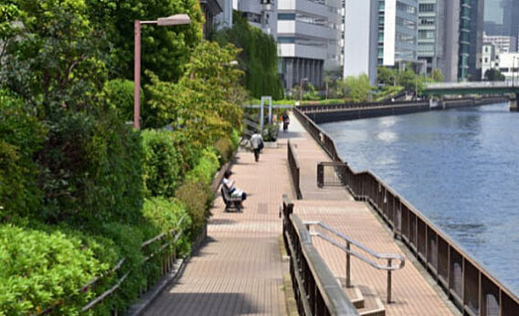 芝浦西運河沿緑...