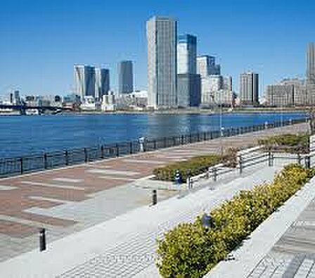 豊洲公園（徒歩765m）