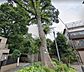 周辺：「けやき」をシンボルとした公園に整備し、幹の直径が1ｍ以上もある区内でも有数の大木です。