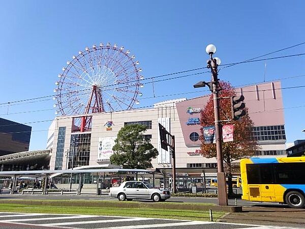 アベリア