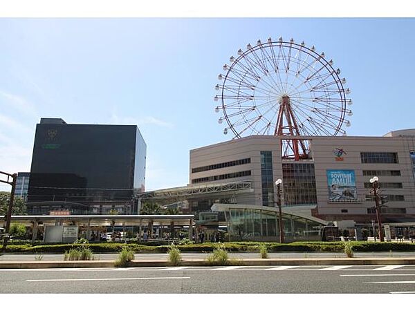 アベリア