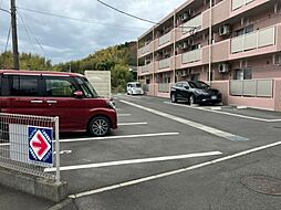 ピースフル桜