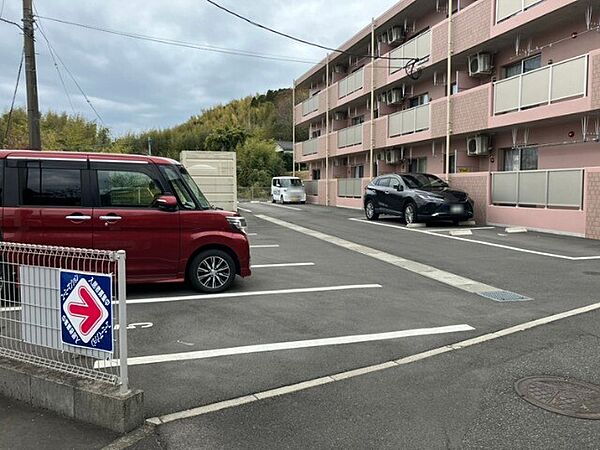ピースフル桜