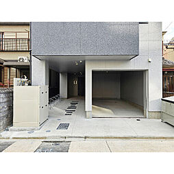 Sugar loaf Park 花の木II