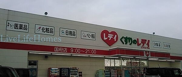 画像21:くすりのレデイ国府店 699m