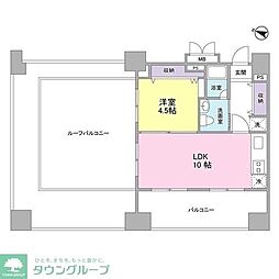 ロネスタＲ文京護国寺 11階1LDKの間取り