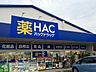 周辺：ハックドラッグ辻堂店 徒歩4分。ドラックストア 300m