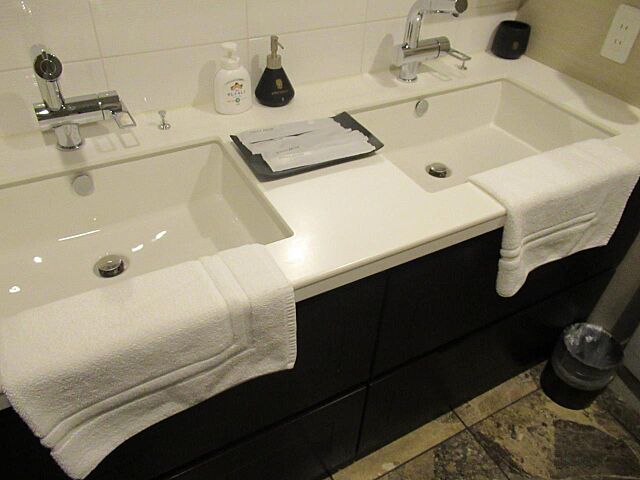 洗面 コンフォール御幸町フェルテ 9階/-