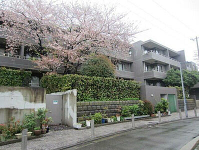 外観:外観 外観:外観
