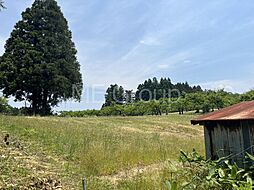 鶴岡市羽黒町川代字川代山　土地　3課