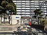 周辺：幼稚園・保育園 400m 小島保育園