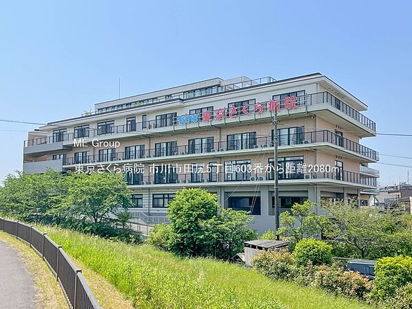 周辺を拡大表示