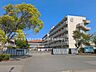 周辺：中学校 1700m 習志野市立第七中学校