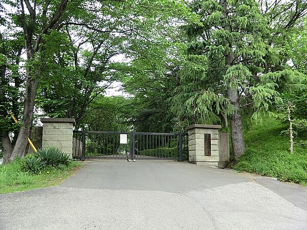 周辺を拡大表示