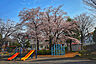 その他：金が谷公園