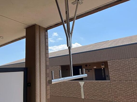 エバーグリーン_その他_5