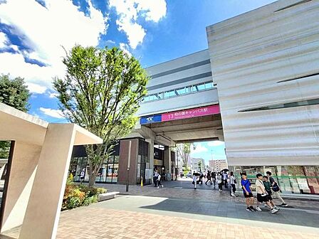 柏の葉キャンパス駅(首都圏新都市鉄道 つくばエクスプレス) 徒歩5分 400m