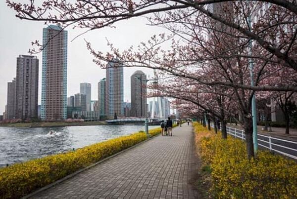 レジディア新川 601｜東京都中央区新川２丁目(賃貸マンション1LDK・6階・44.75㎡)の写真 その26